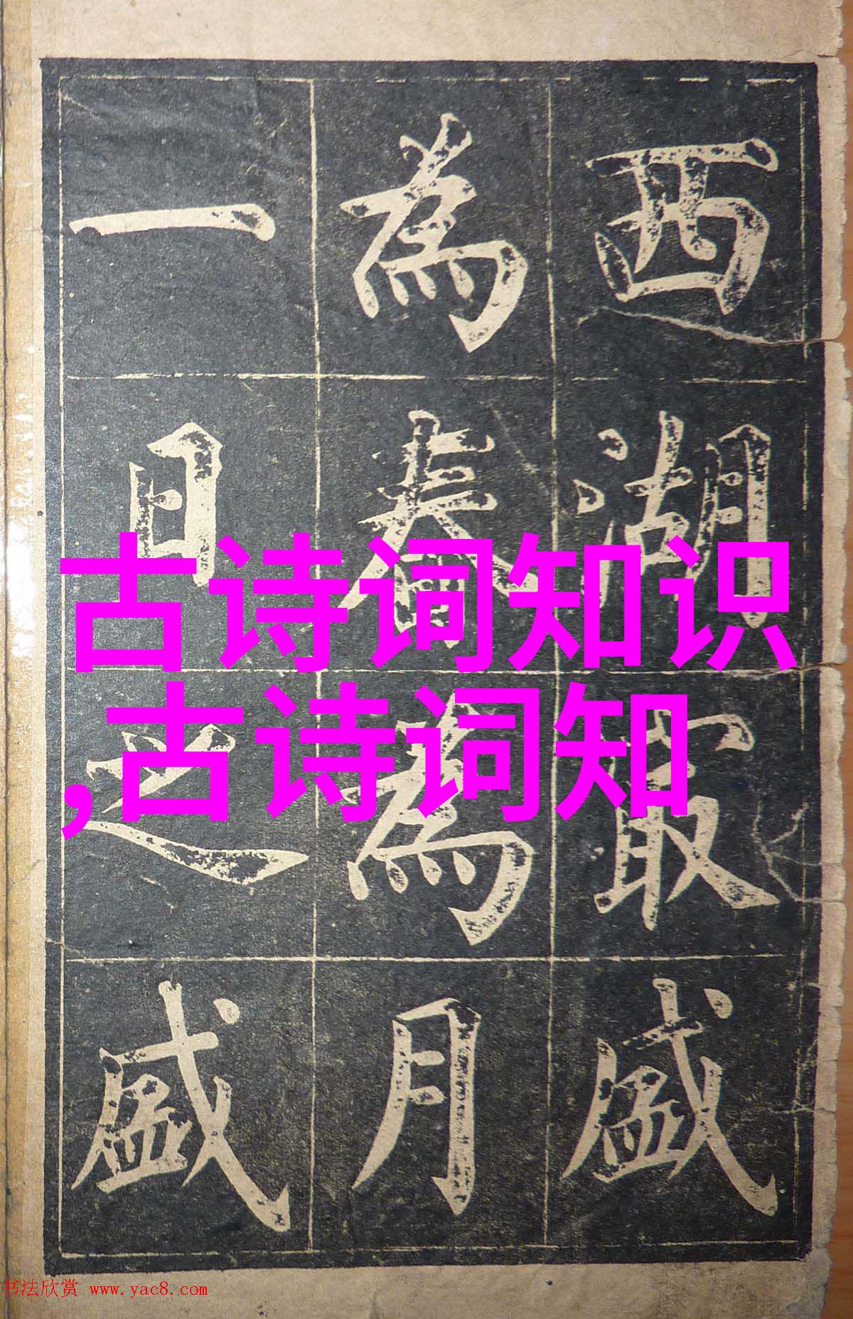 决战火鳞蛟
